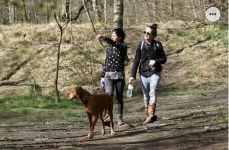 皮滕Park Konijnenburg别墅 外观 照片
